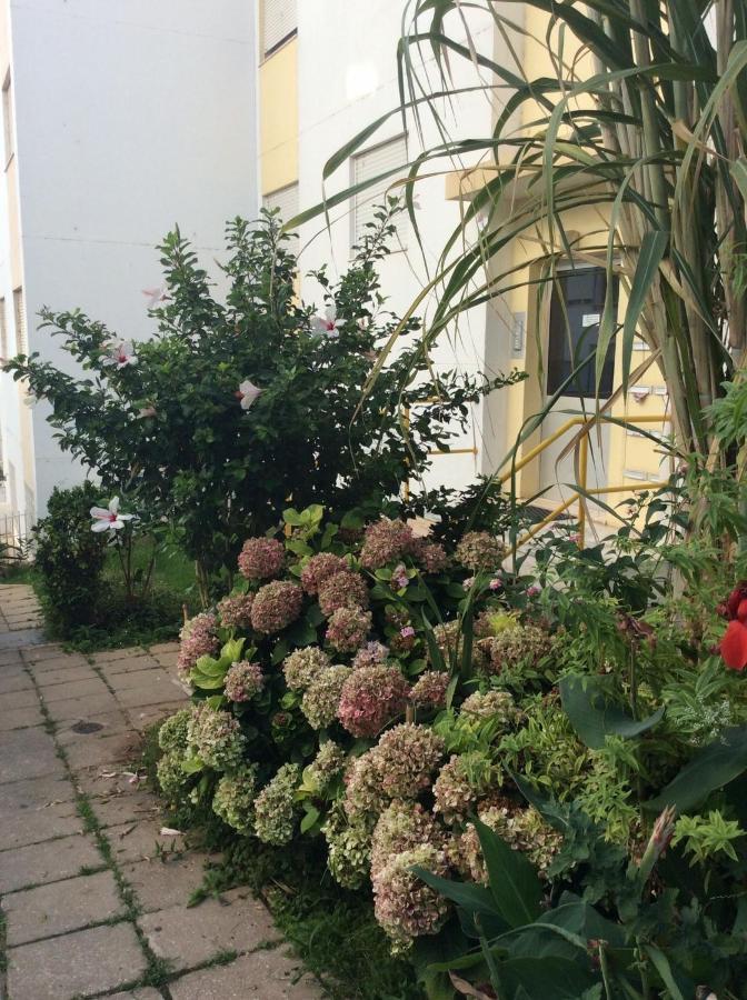 Jardim Das Flores Фару Экстерьер фото